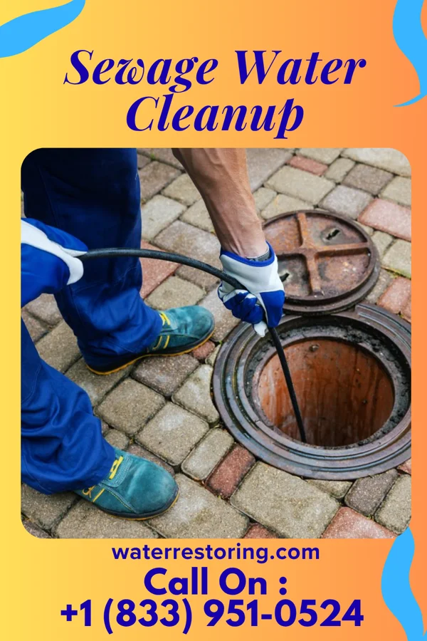 Sewage Water Cleanup in East Alton, IL